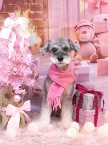 20241229ラーラちゃん